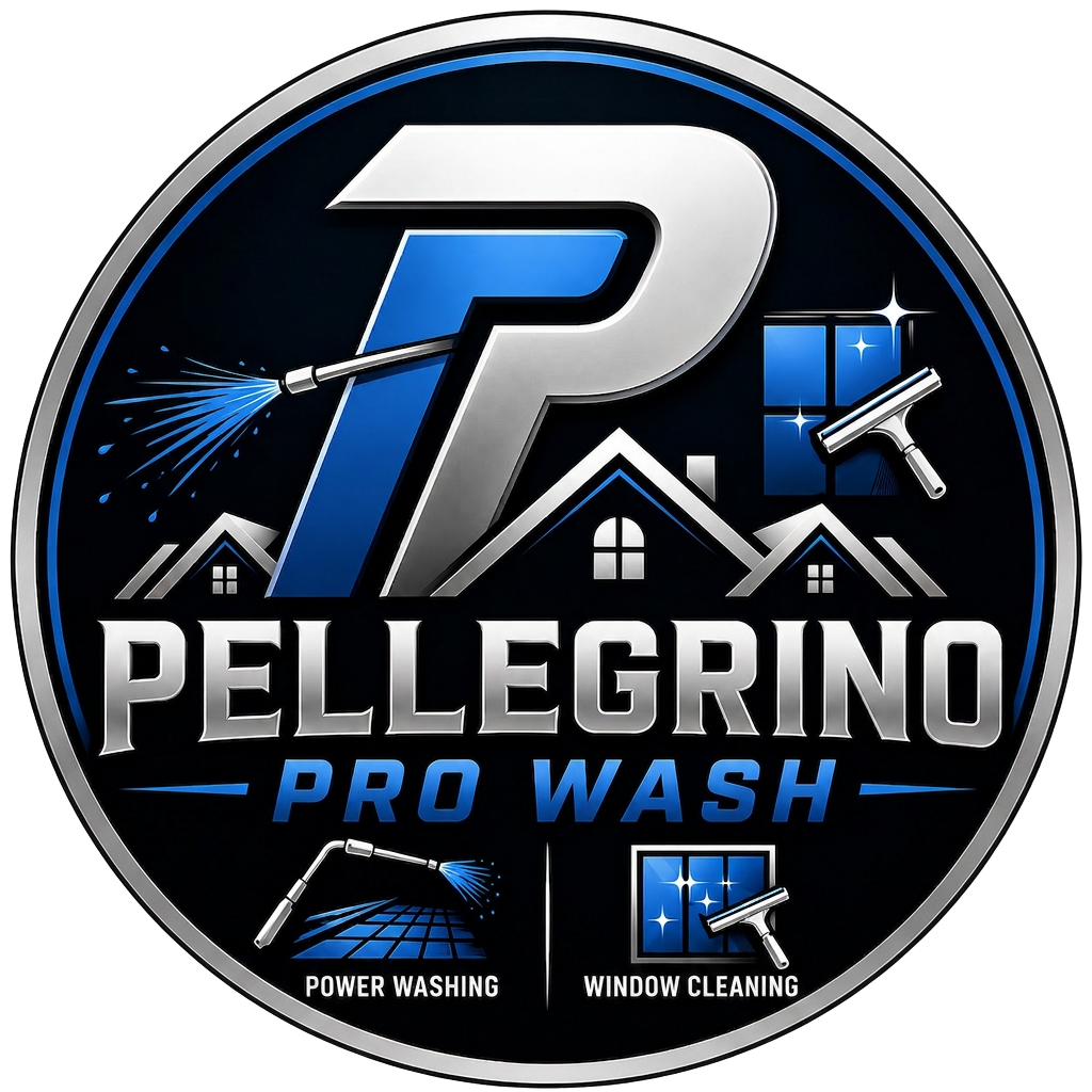 Pellegrino ProWash